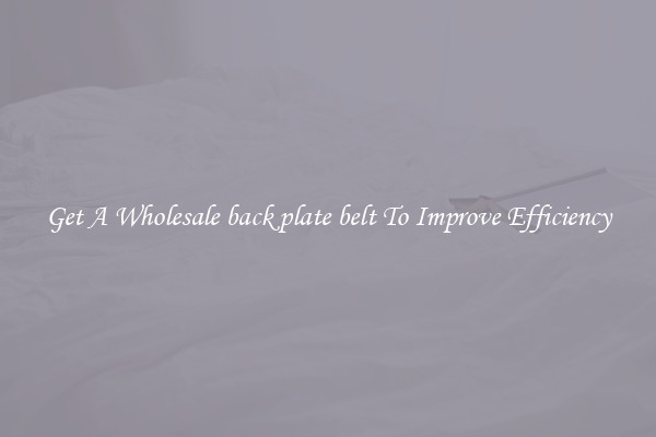 Get A Wholesale back plate belt To Improve Efficiency