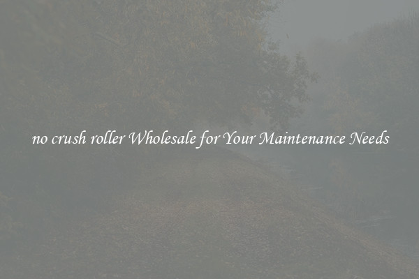 no crush roller Wholesale for Your Maintenance Needs