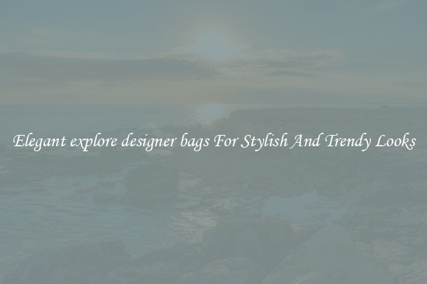 Elegant explore designer bags For Stylish And Trendy Looks