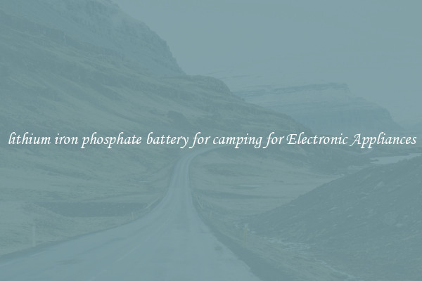 lithium iron phosphate battery for camping for Electronic Appliances