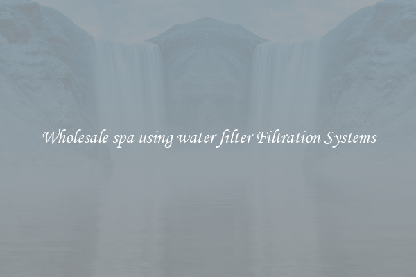 Wholesale spa using water filter Filtration Systems