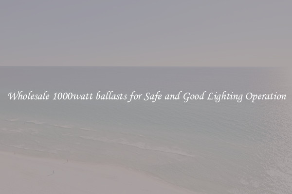 Wholesale 1000watt ballasts for Safe and Good Lighting Operation