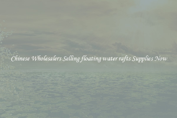 Chinese Wholesalers Selling floating water rafts Supplies Now