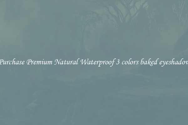 Purchase Premium Natural Waterproof 3 colors baked eyeshadow