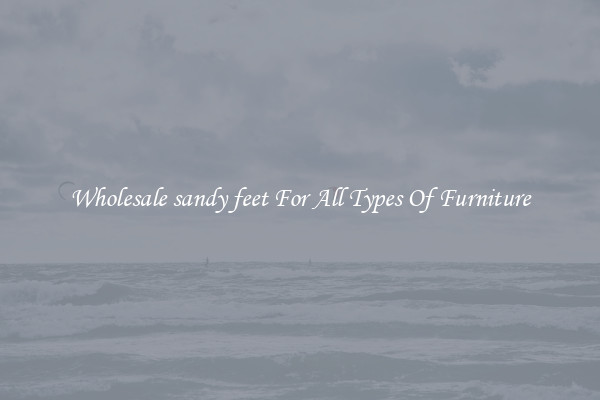 Wholesale sandy feet For All Types Of Furniture
