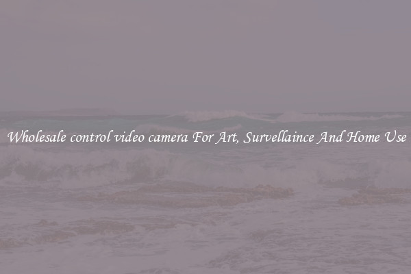 Wholesale control video camera For Art, Survellaince And Home Use