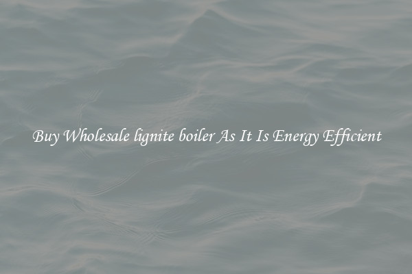 Buy Wholesale lignite boiler As It Is Energy Efficient