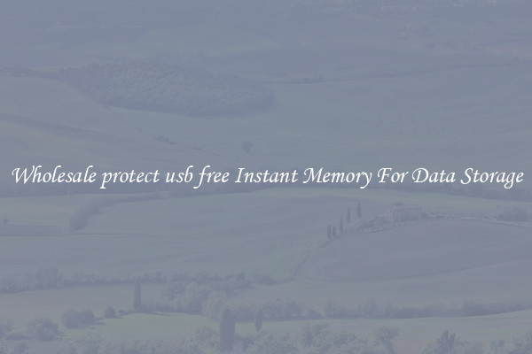 Wholesale protect usb free Instant Memory For Data Storage