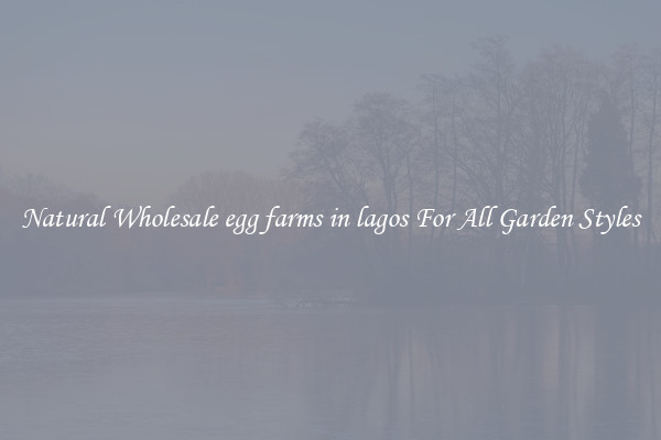 Natural Wholesale egg farms in lagos For All Garden Styles