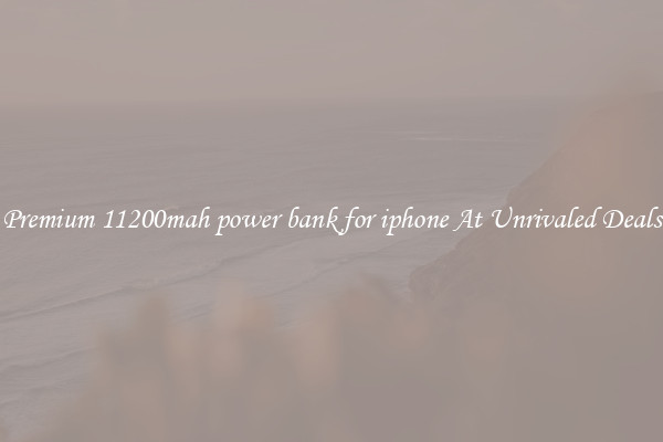 Premium 11200mah power bank for iphone At Unrivaled Deals