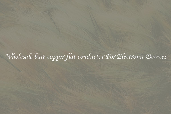 Wholesale bare copper flat conductor For Electronic Devices