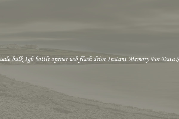 Wholesale bulk 1gb bottle opener usb flash drive Instant Memory For Data Storage