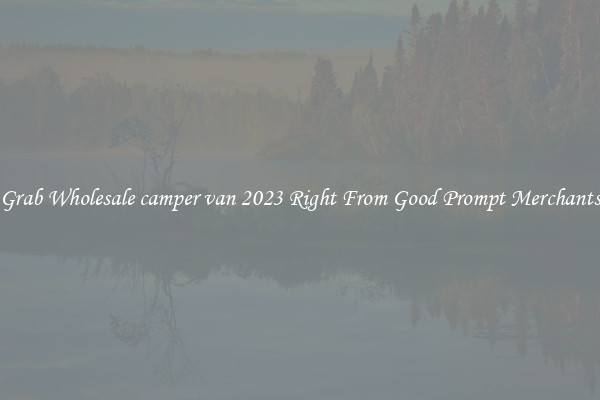 Grab Wholesale camper van 2023 Right From Good Prompt Merchants