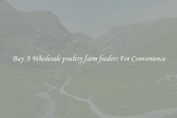 Buy A Wholesale poultry farm feeders For Convenience