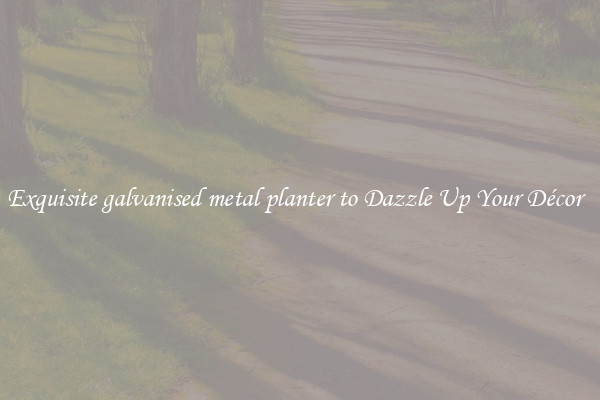 Exquisite galvanised metal planter to Dazzle Up Your Décor  