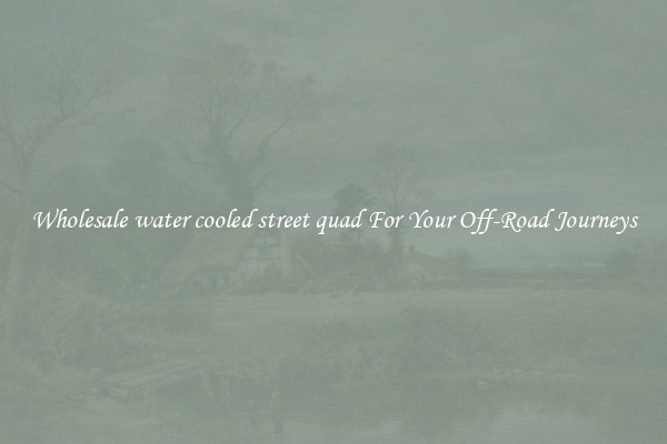 Wholesale water cooled street quad For Your Off-Road Journeys