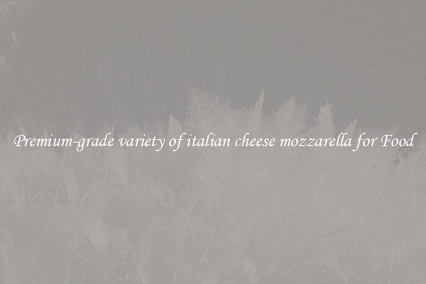 Premium-grade variety of italian cheese mozzarella for Food