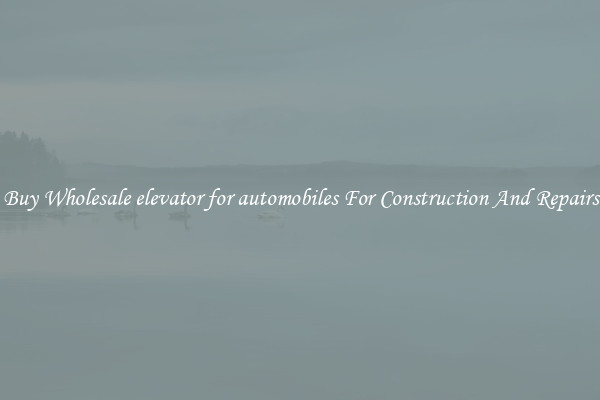 Buy Wholesale elevator for automobiles For Construction And Repairs