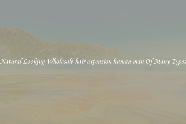 Natural Looking Wholesale hair extension human man Of Many Types