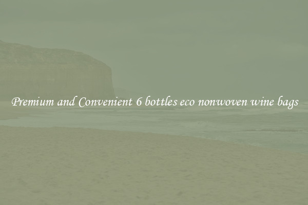 Premium and Convenient 6 bottles eco nonwoven wine bags
