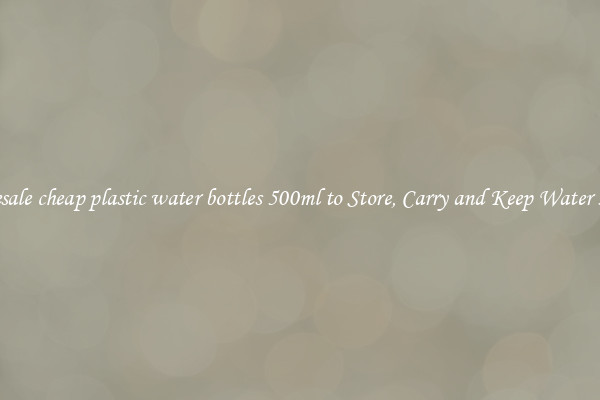 Wholesale cheap plastic water bottles 500ml to Store, Carry and Keep Water Handy