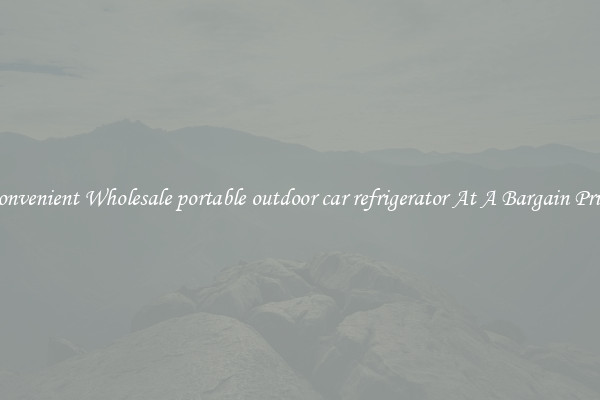 Convenient Wholesale portable outdoor car refrigerator At A Bargain Price